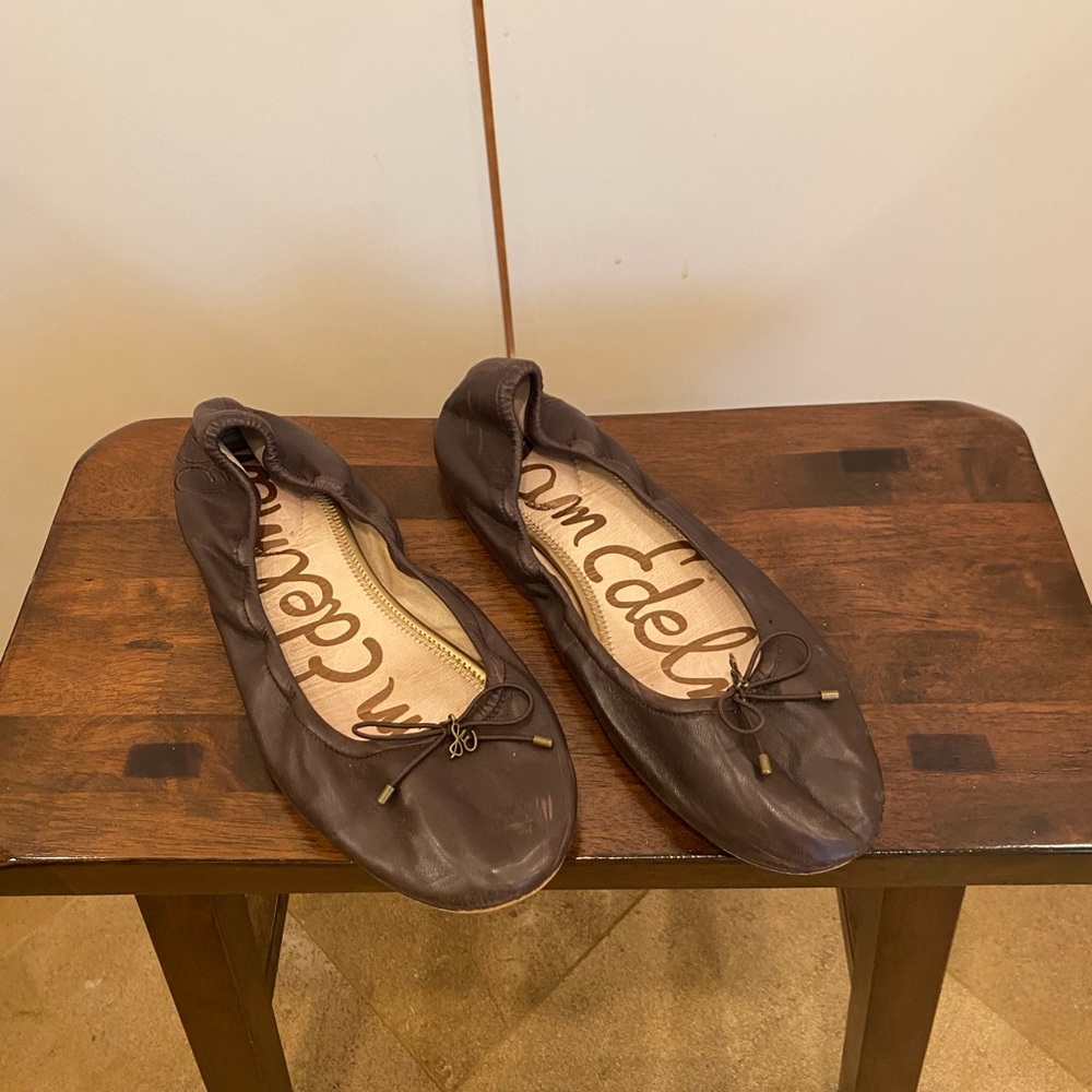 Sam Edelman Women’s Felicia Ballet Flat, dark brown, size 10
